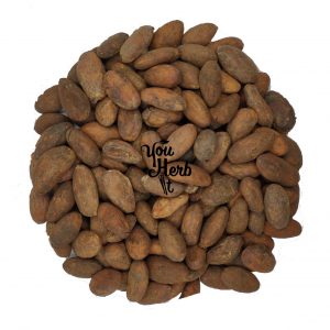 Organic Raw Criollo Whole Cacao Beans